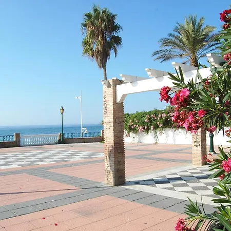 Delfin Apartamento *