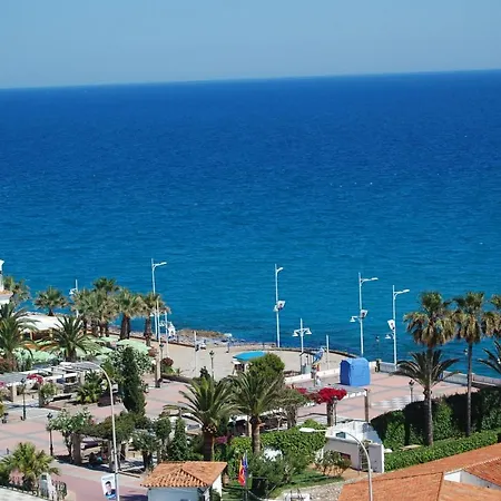 Delfin نيرخا