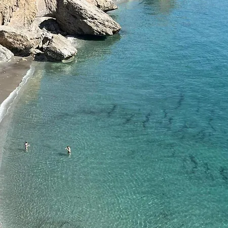 Delfin Apartament