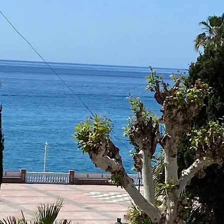 Apartman Delfin